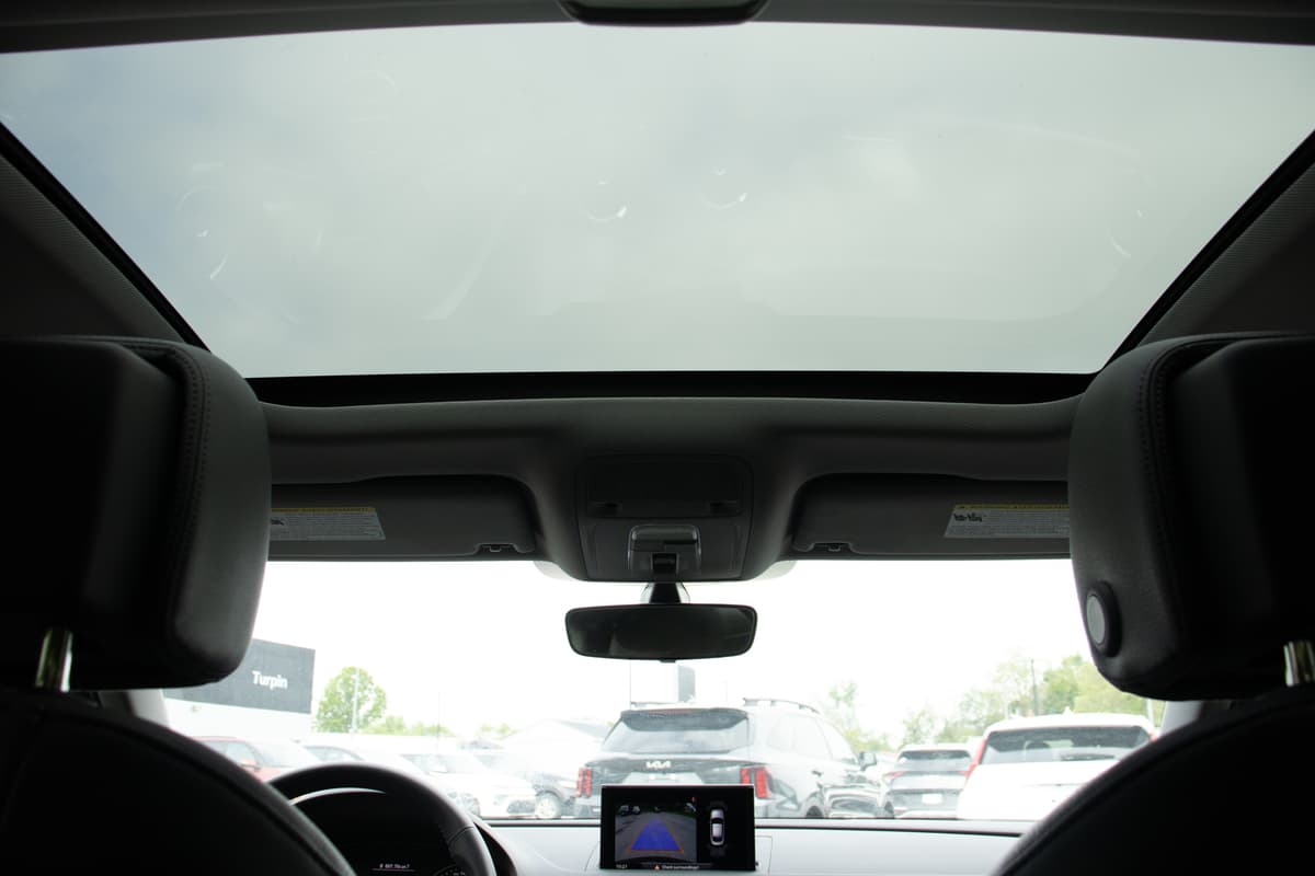 Sunroof/Moonroof view