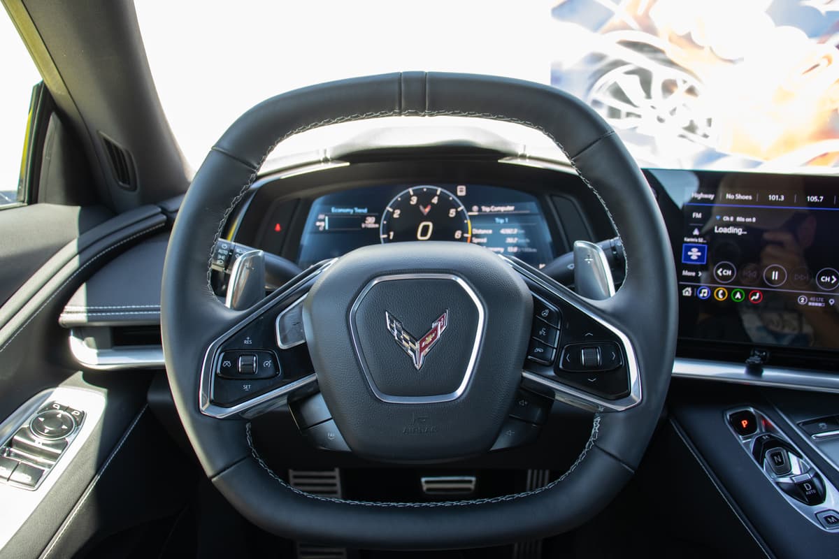 Steering wheel close-up