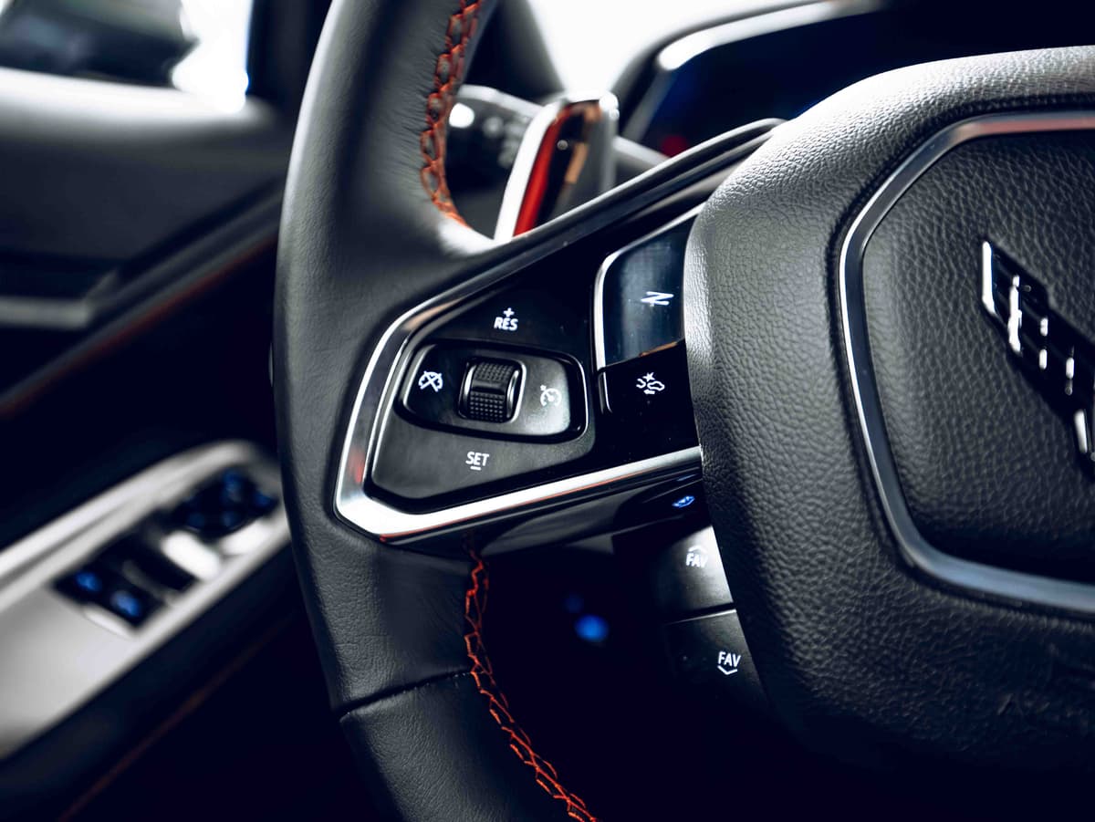 Steering controls detail