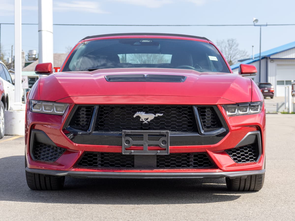 Front shot