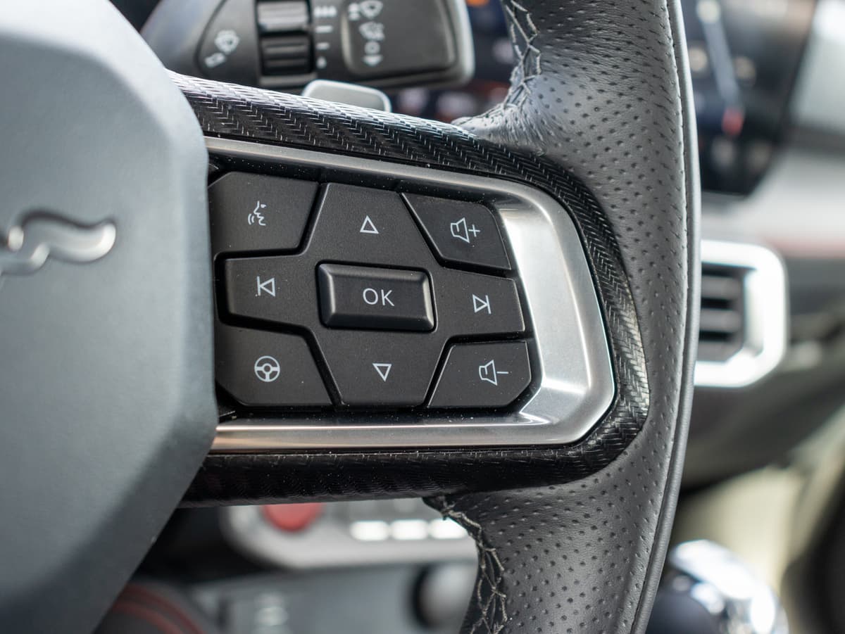 Steering controles detail