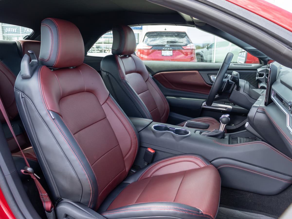 Passenger side seats display