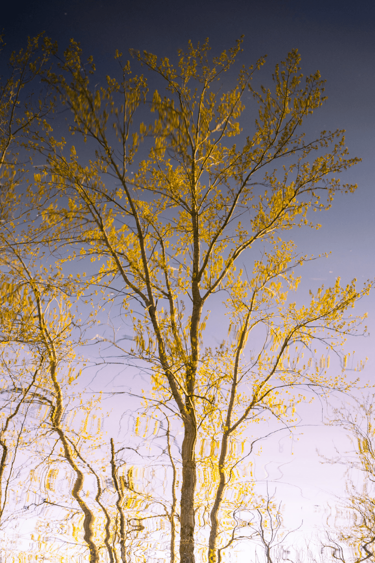 Britannia park in Autumn
