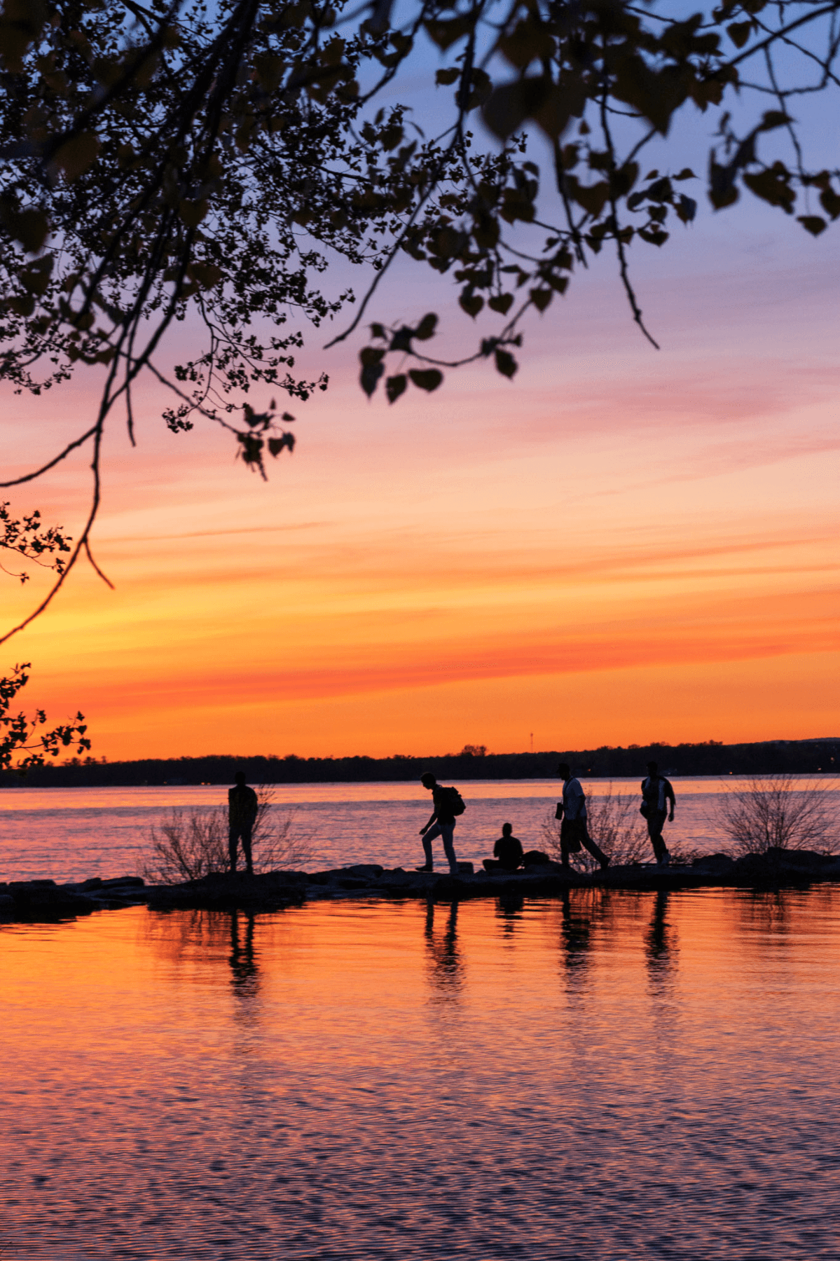 Britannia park sunset