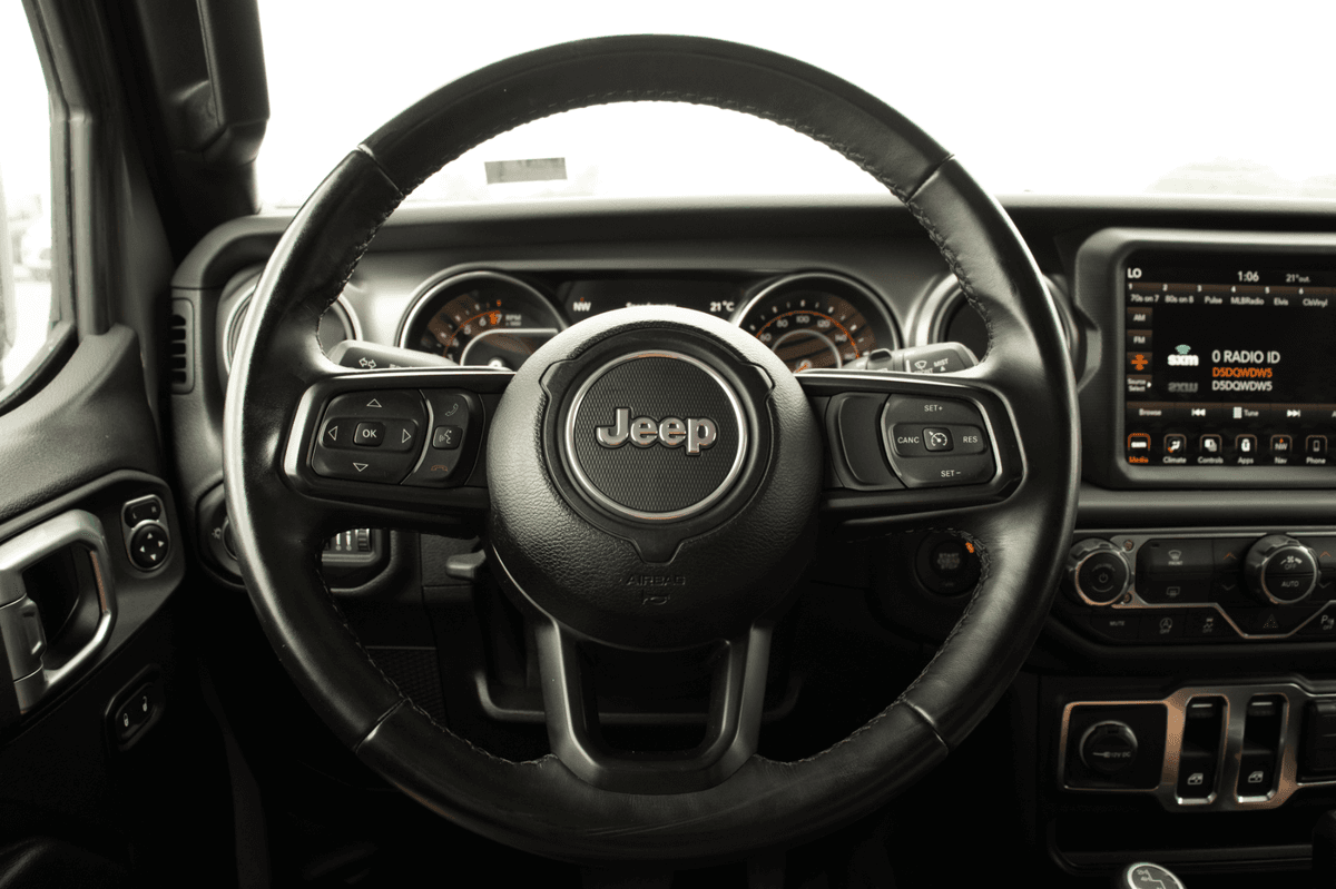 Steering wheel close-up
