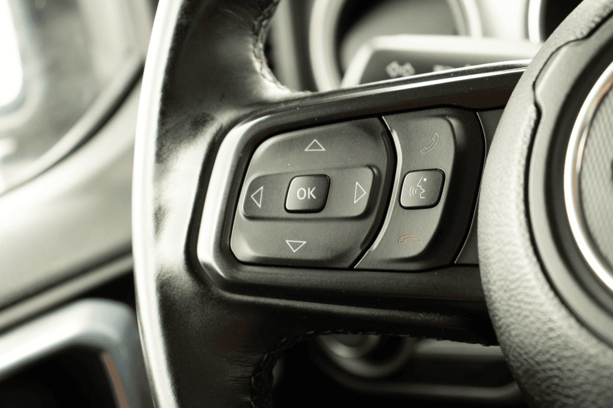 Steering controles detail